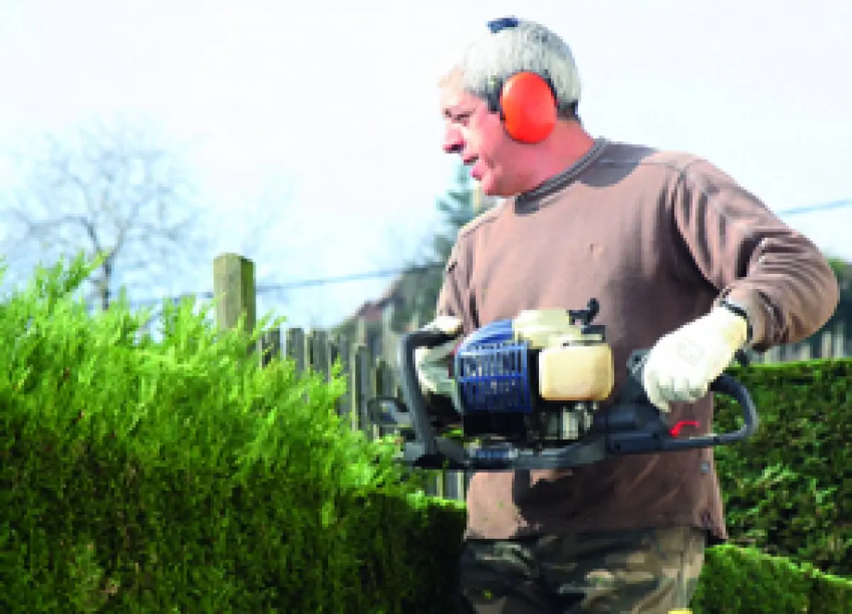 Haies : je les adore !