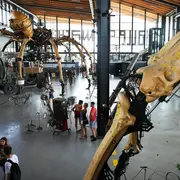 Halle de La Machine: Billet d'entrée