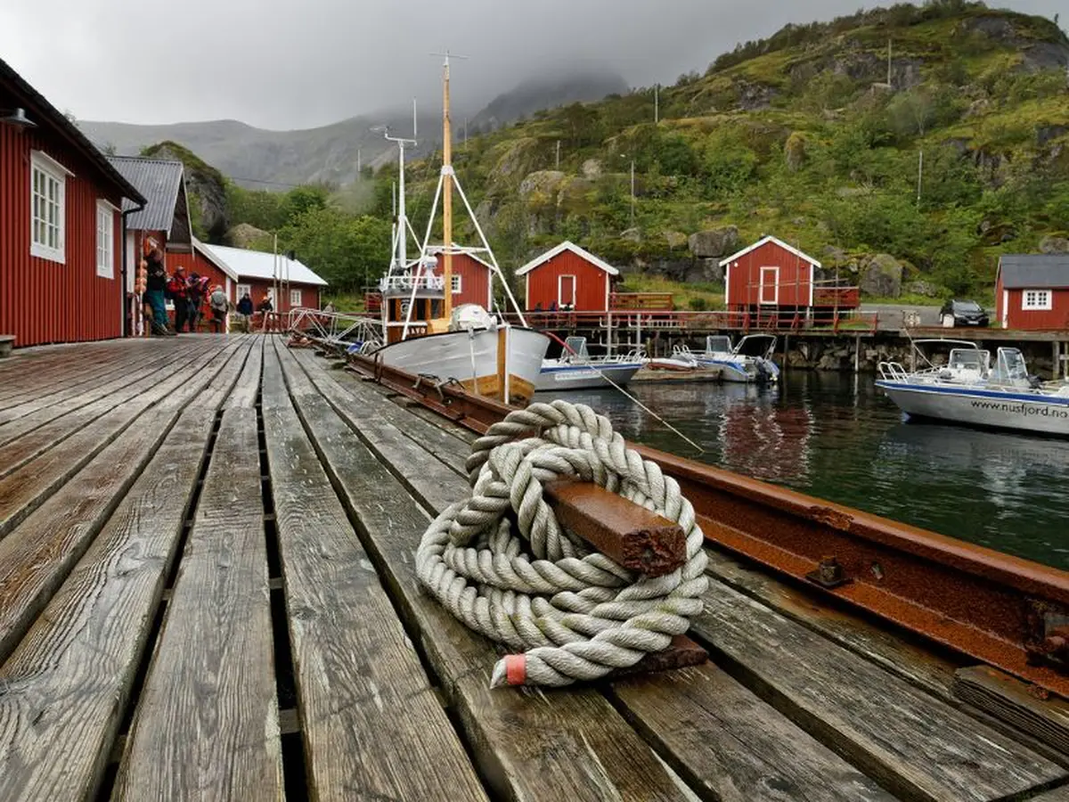 Halle & Arts : Matinée Rencontre