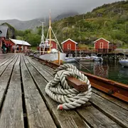 Halle & Arts : Matinée Rencontre