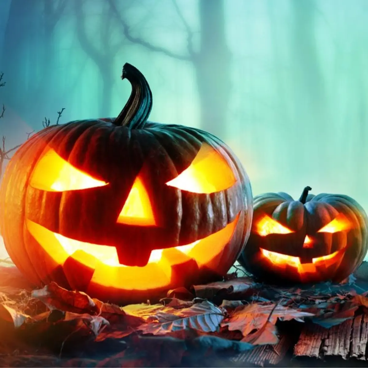 Halloween 2026 à Pauillac