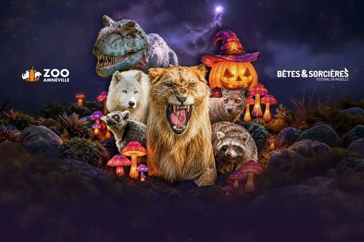 Halloween 2026 : 8 zoos où les animaux vont aussi fêter Halloween pendant les vacances de la Toussaint