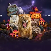 Halloween 2026 : 8 zoos où les animaux vont aussi fêter Halloween pendant les vacances de la Toussaint &copy; zoo-amneville.com