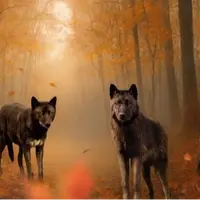 Halloween 2026 : 8 zoos où les animaux vont aussi fêter Halloween pendant les vacances de la Toussaint DR