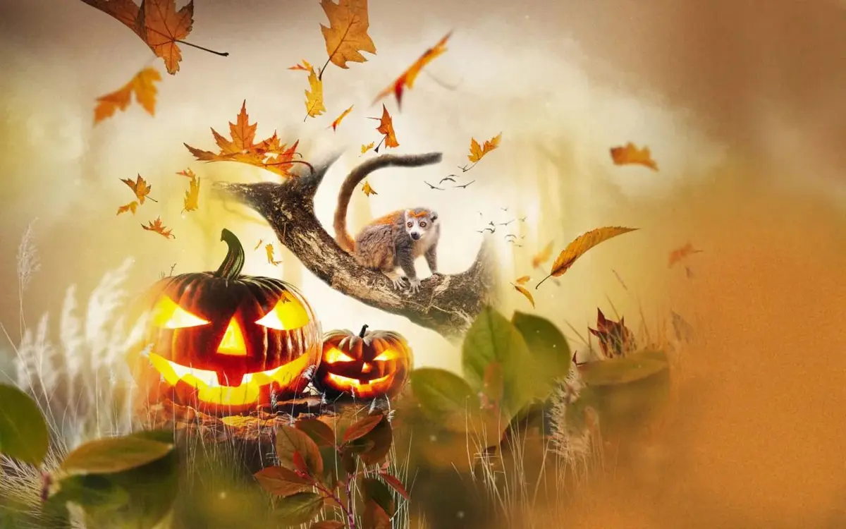 Halloween 2026 : 8 zoos où les animaux vont aussi fêter Halloween pendant les vacances de la Toussaint
