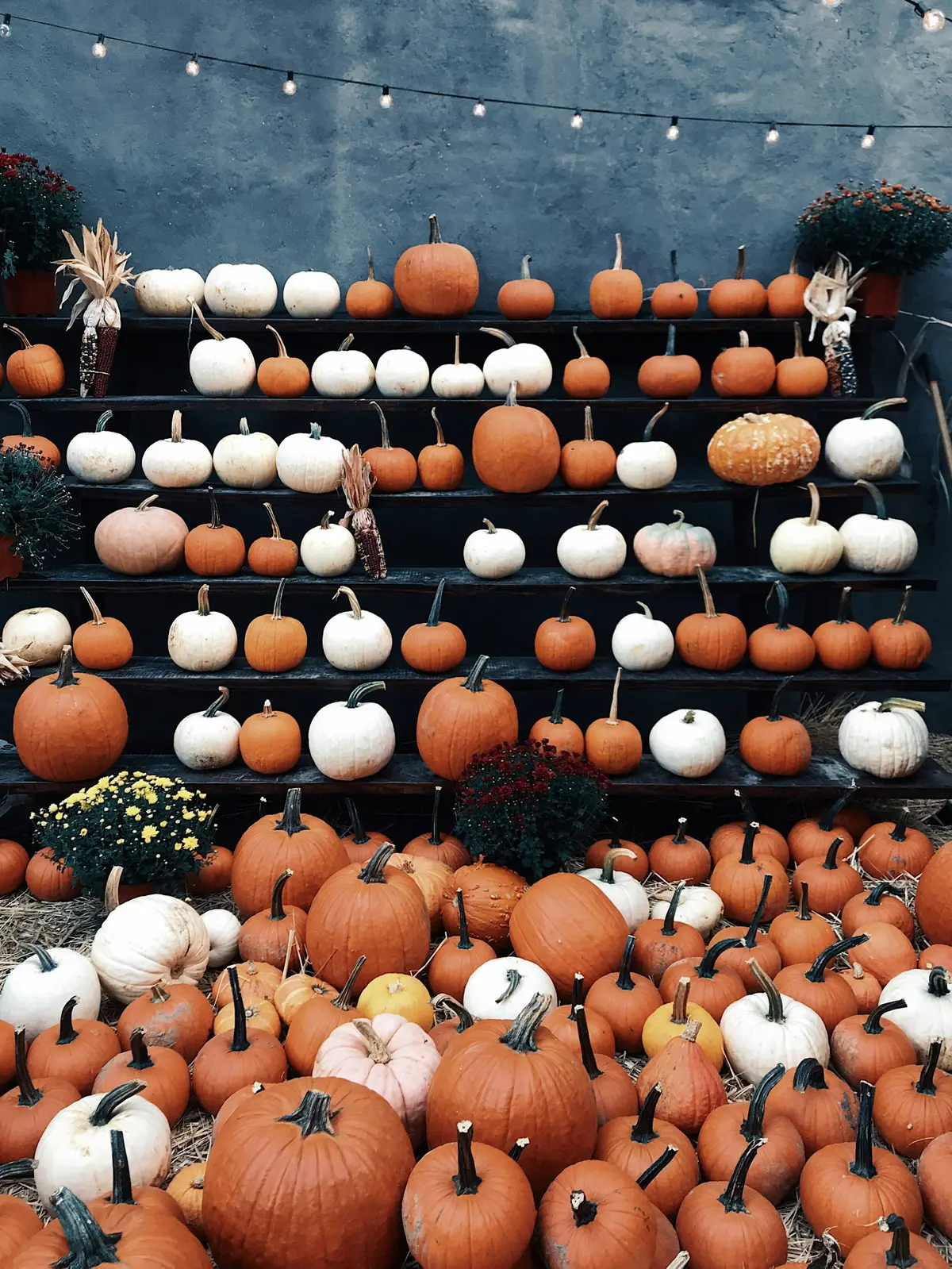 Halloween à Bilhac