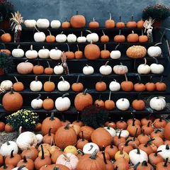 Halloween à Bilhac