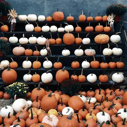 Halloween à Bilhac