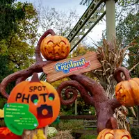 Halloween à Cigoland DR