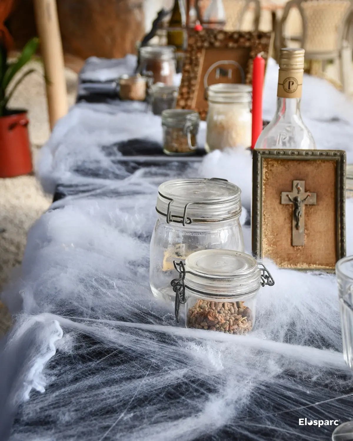 Halloween à Elosparc : petits frissons, grandes découvertes ! à Saint-Georges-de-Rex