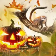 Halloween à la Haute-Touche