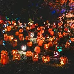 Halloween à Monceaux sur Dordogne