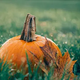 Halloween à Pugnac