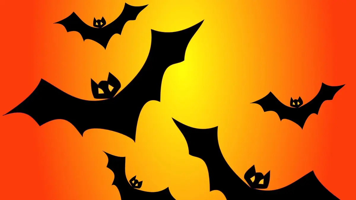 Halloween - ABRACADABRA