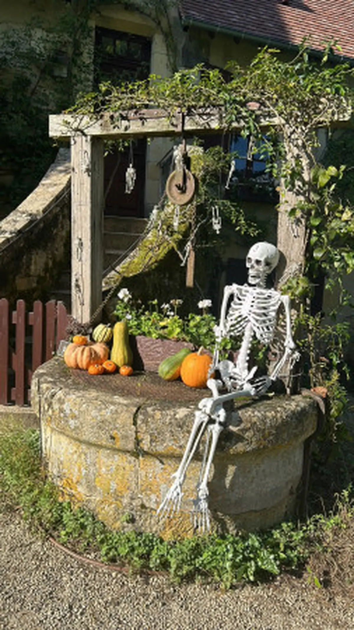 Halloween au Parc Floral d'Apremont-sur-Allier