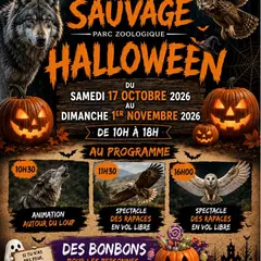 Halloween au Parc Sauvage