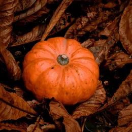 Légendes & Sortilèges