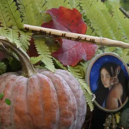 Halloween au pays des plantes sauvages