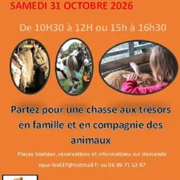 Halloween chez les poulains miniatures