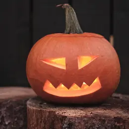 Halloween en folie