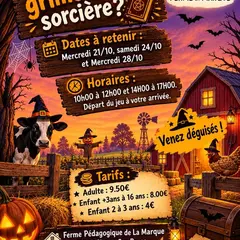 Halloween - Mais où est le grimoire de la sorcière ?