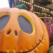 Halloween Party à Cigoland