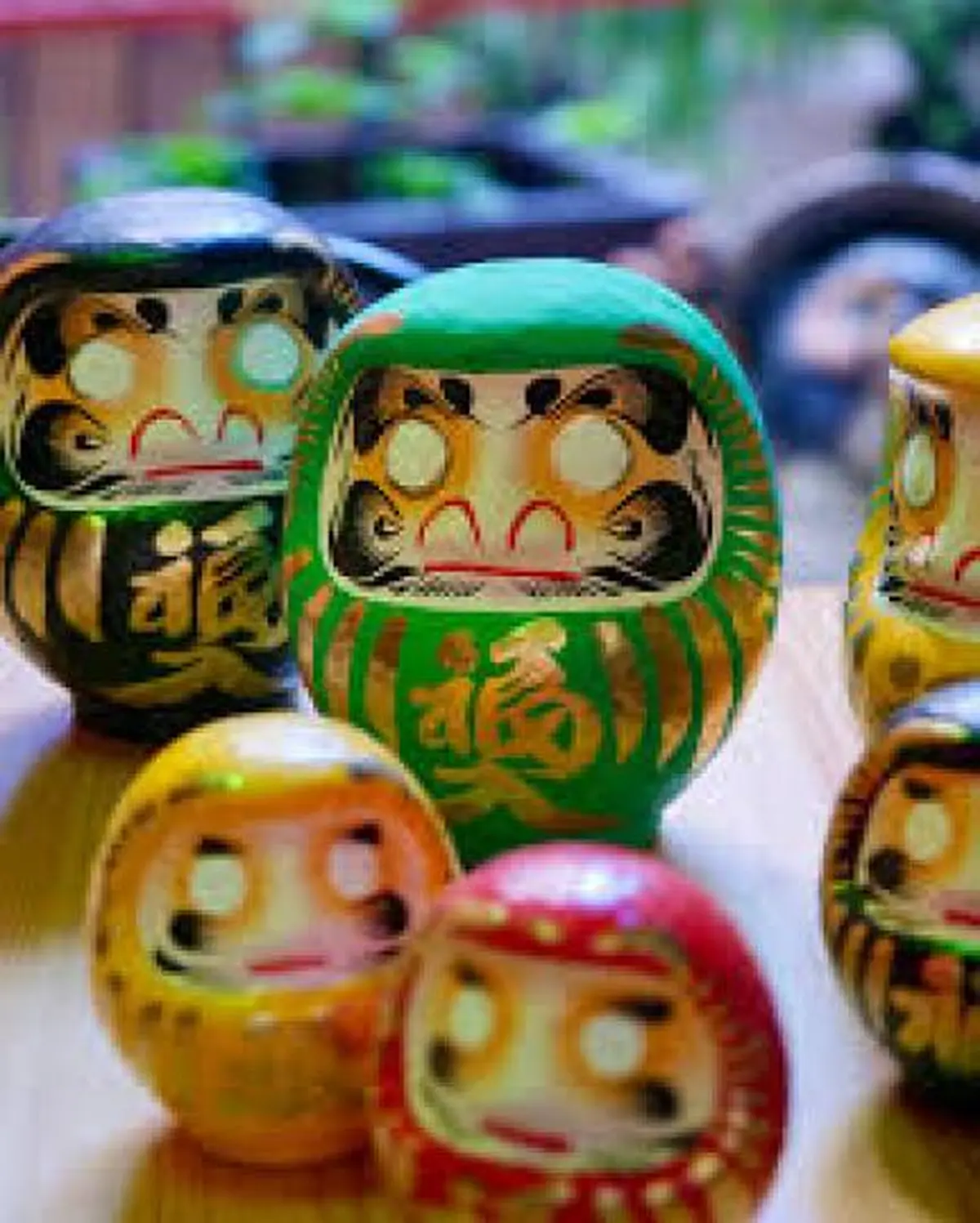 Hanami au pays du mistral