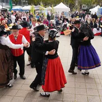 Le groupe Les Lys de Marlenheim DR