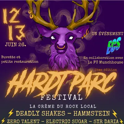 Hardt Parc Festival : du rock 100% local