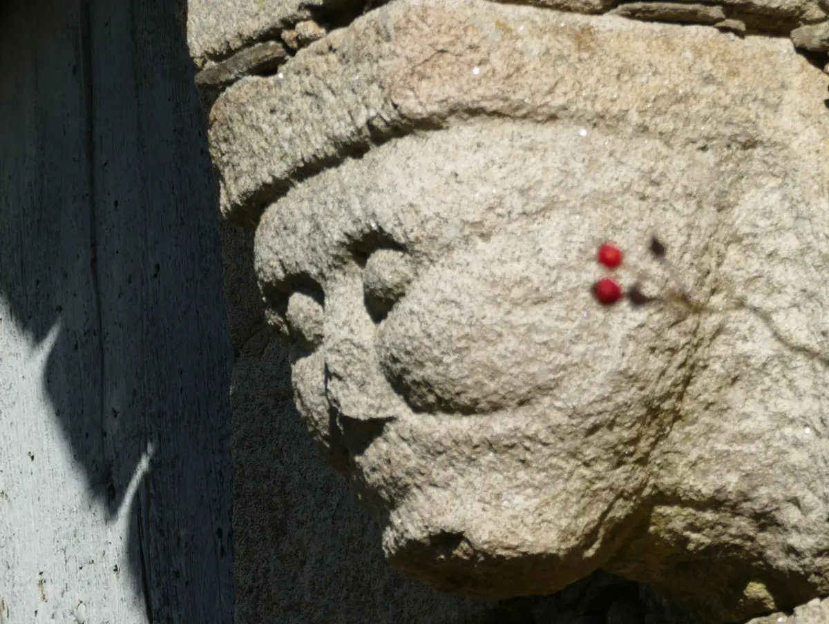 Harmonie avec la nature et l'habitat : découverte de la géobiologie