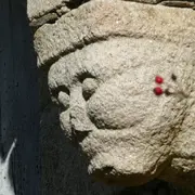 Harmonie avec la nature et l'habitat : découverte de la géobiologie