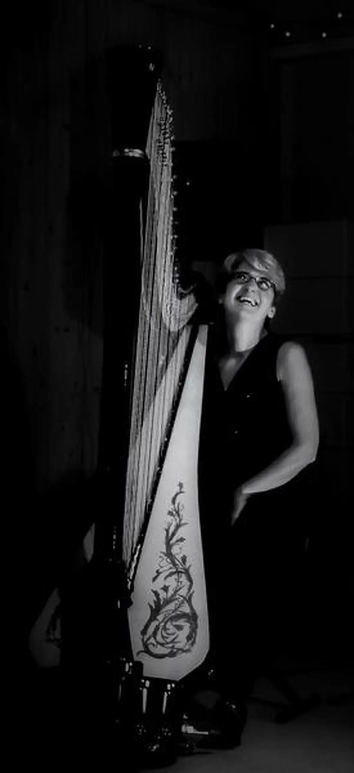 Harpe vagabonde