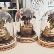 Harry Potter - Atelier de Céline Carmentran - Bestiaire magique