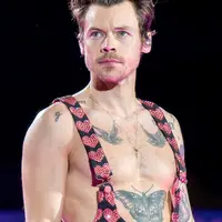 Le retour d'Harry Styles était très attendu &copy; Raph_PH, CC BY 2.0