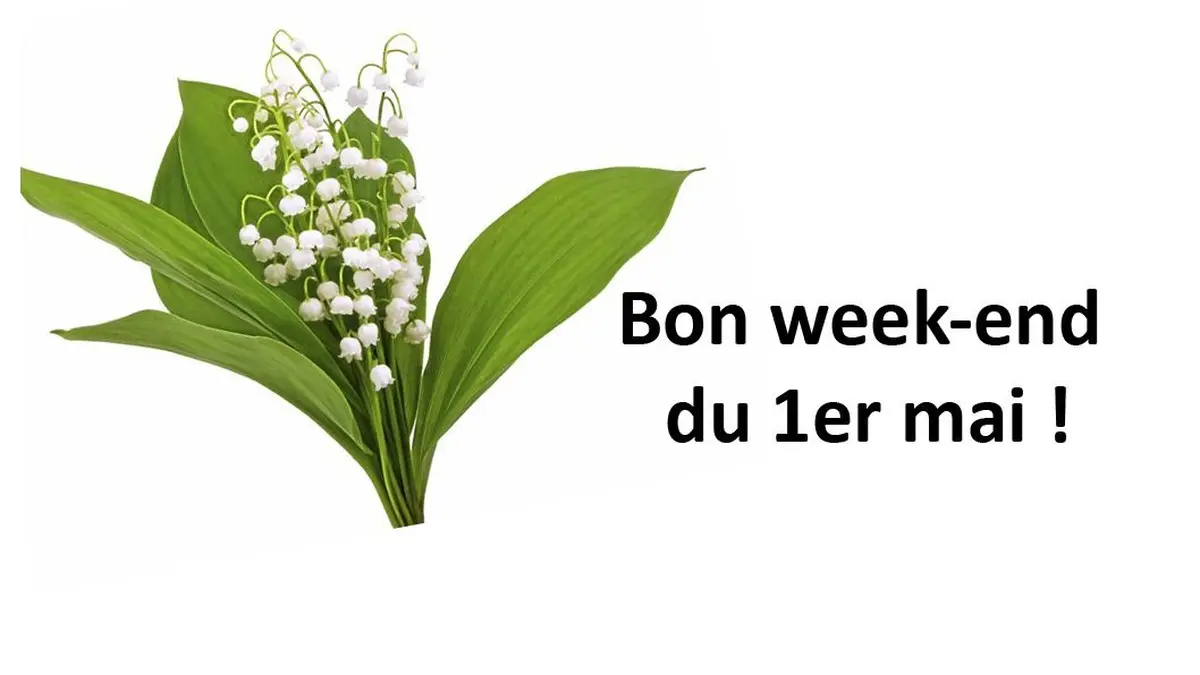 Haut Rhin Bas Rhin Haut-Rhin / Bas-Rhin : nos idées sorties pour ce week-end
