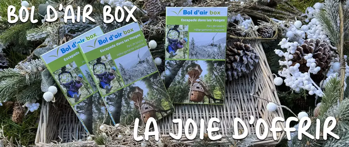 Hébergements insolites et activités nature : des idées cadeaux au Bol d'Air dans les Vosges