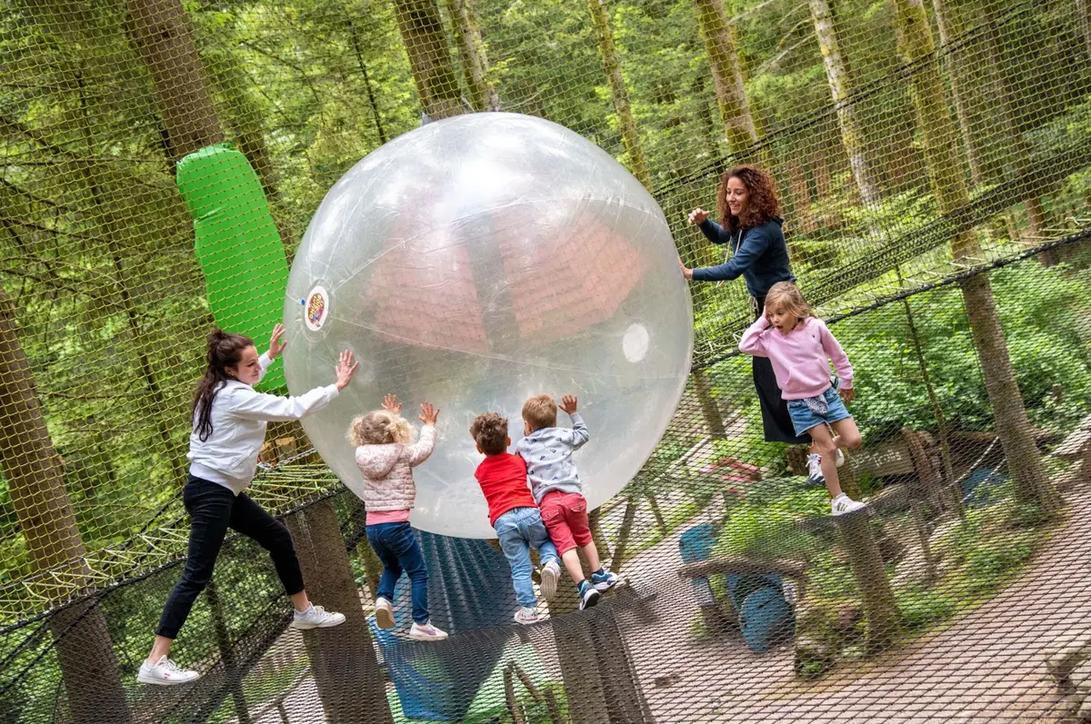 On joue à la balle ?