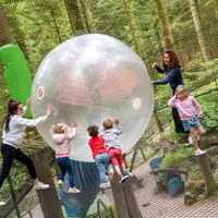 On joue à la balle ? &copy; Michel Laurent