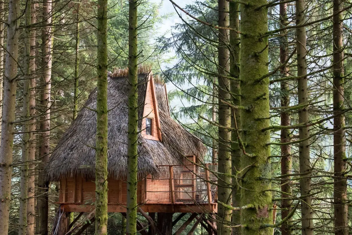 Le Murmure du Printemps