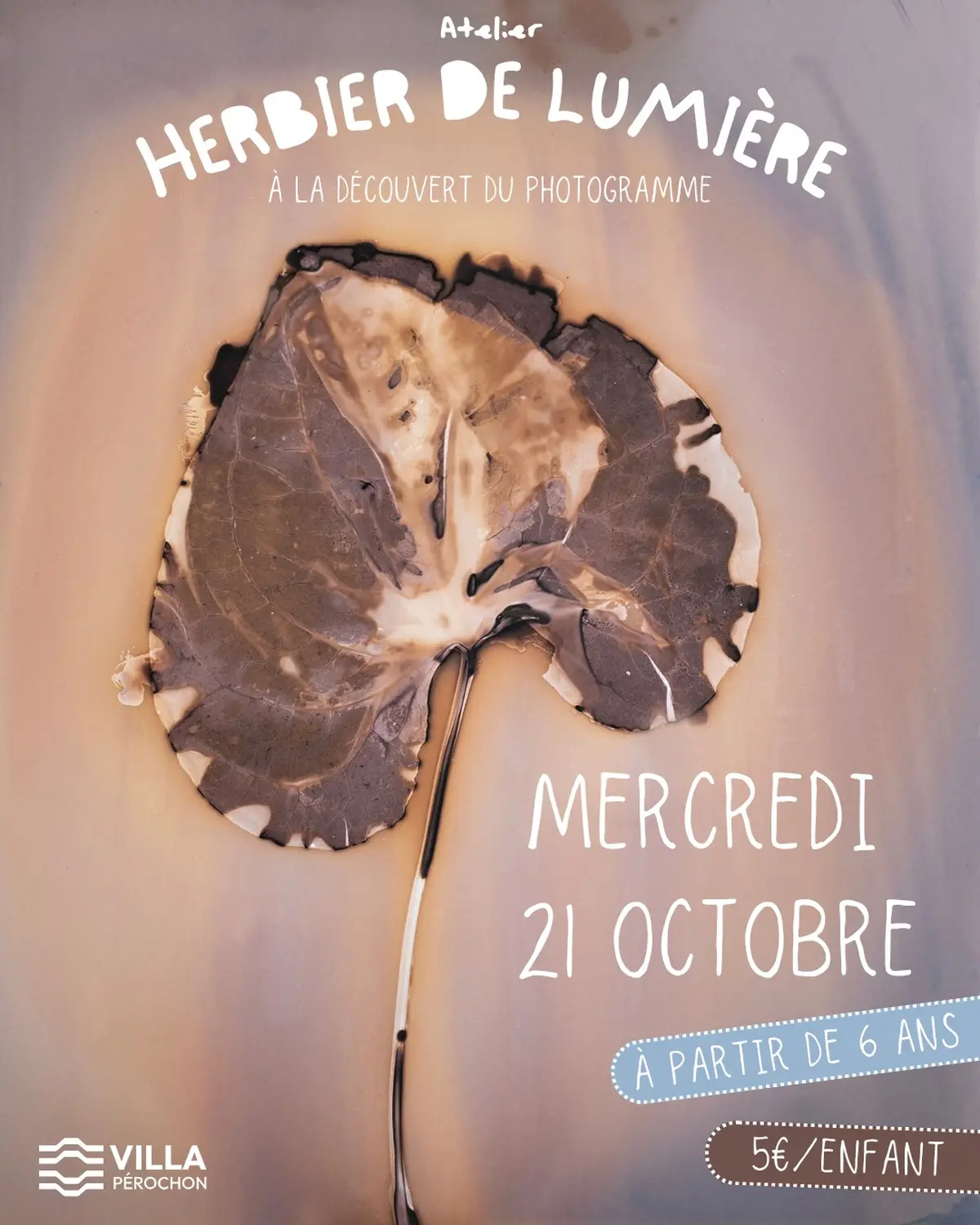 Herbier de lumière, à la découverte du photogramme - à Niort