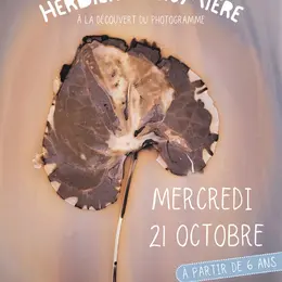 Herbier de lumière, à la découverte du photogramme - à Niort