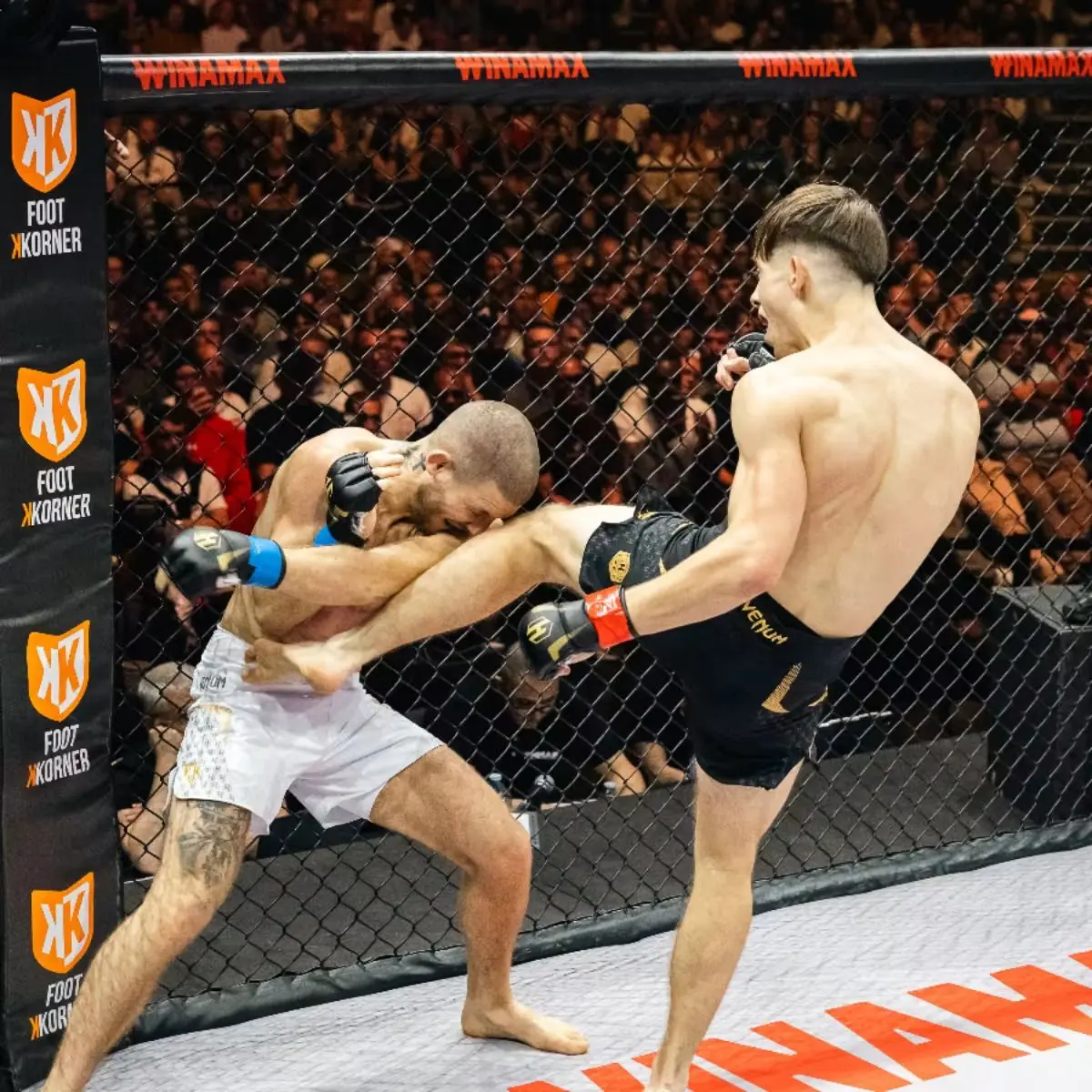 Hexagone Mma
