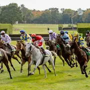 Hippisme : Réunion de galop à Niort