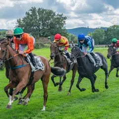 Hippodrome de Cluny