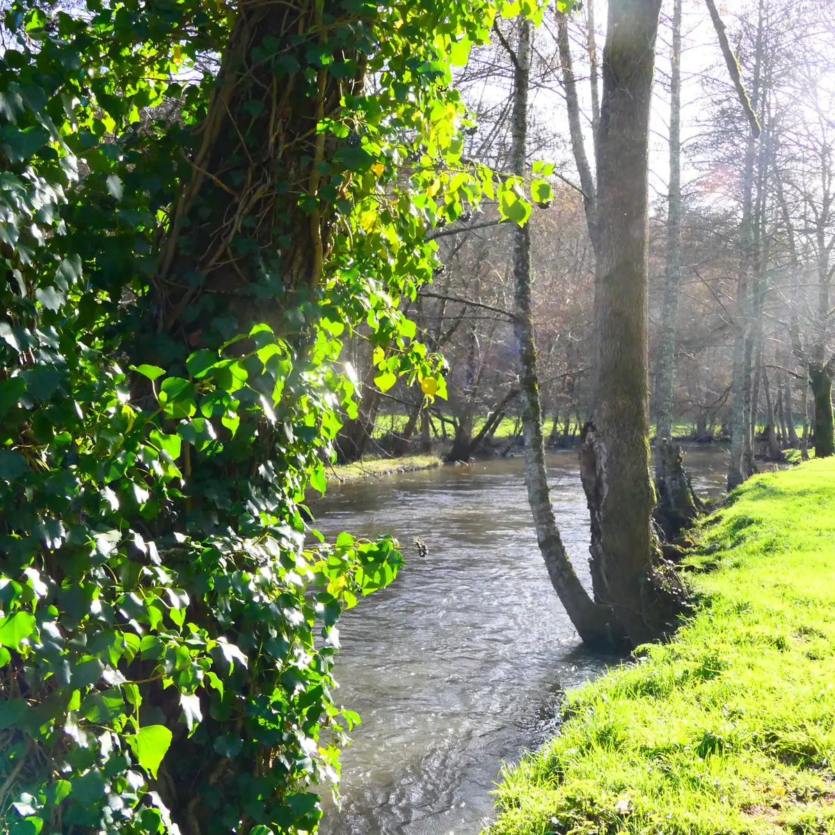 Histoire d'eau