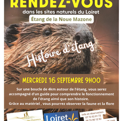 Histoire d'étang