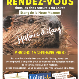 Histoire d'étang