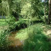 Histoire d'un ruisseau