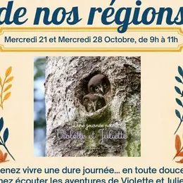 Histoire de nos régions