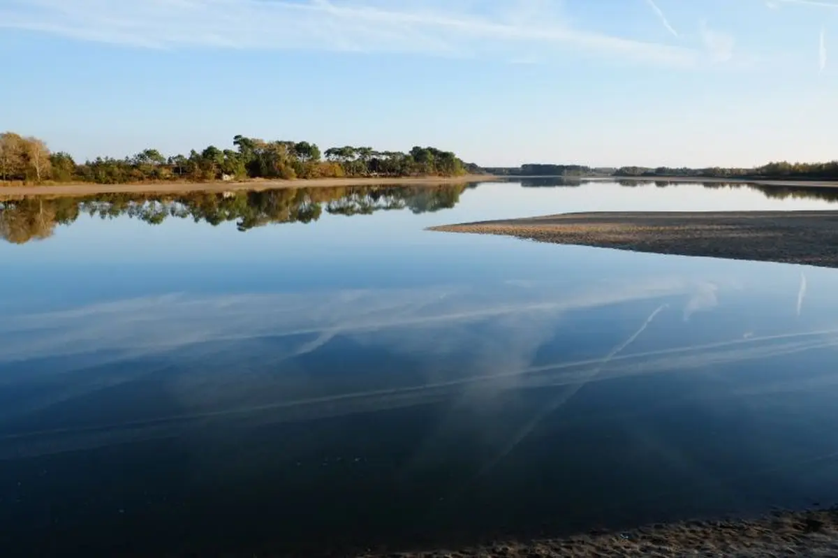 Histoire des paysages de Brenne